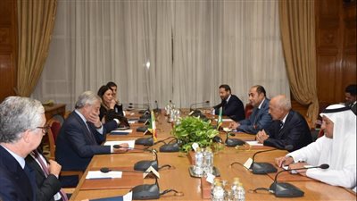 أبو الغيط يستقبل وزيري خارجية إيطاليا وليتوانيا ويؤكد ضرورة وقف العنف في أسرع وقت