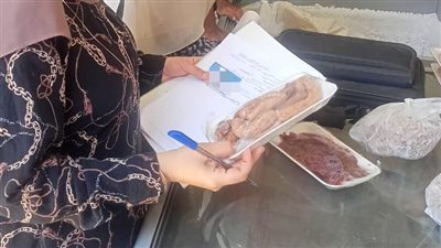 تحرير 436 محضرا تموينيا وضبط 11 طن مواد غذائية مجهول المصدر بالمنوفية