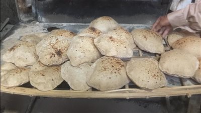 تحرير محاضر لأصحاب مخابز لتلاعبهم في مواصفات الخبز بالغربية 