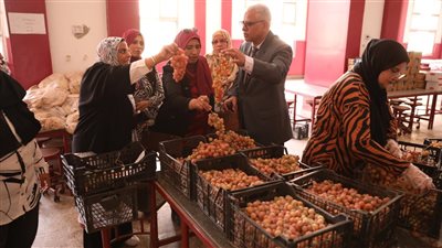 تسكين طالبات المحافظات الحدودية بمدن جامعة الأزهر في القاهرة (صور)