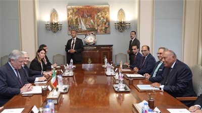 بيان مصري إيطالي مشترك يشمل بنودا مهمة، تعرف على أبرزها