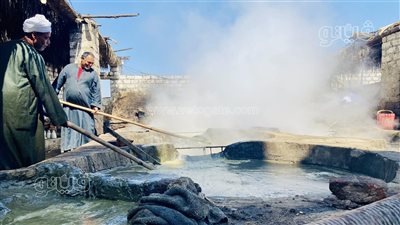 ملوي قلعة صناعة العسل الأسود في الصعيد، فيتو ترصد مراحل التصنيع، وصاحب عصارة يروي تفاصيل طبخ القصب ليتحول عسلًا (فيديو)