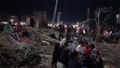 القصب مشروب السعادة في مولد السيد البدوي (فيديو)