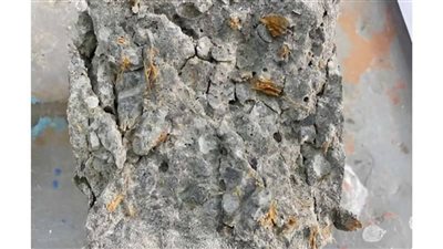 ابتكار خرسانة قوية من جوز الهند