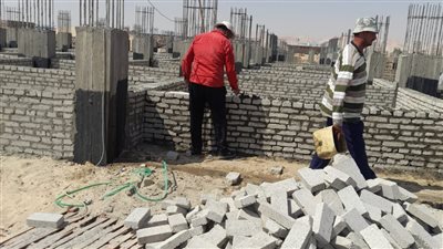 وزارة العمل: حصر العمالة غير المنتظمة بالوادى الجديد