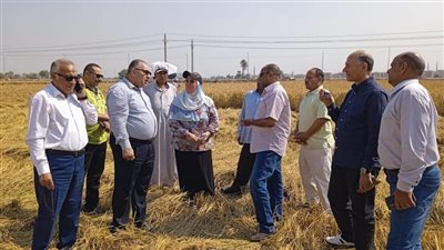 الزراعة تتابع إجراءات تطبيق دورة محصول القمح بالشرقية 