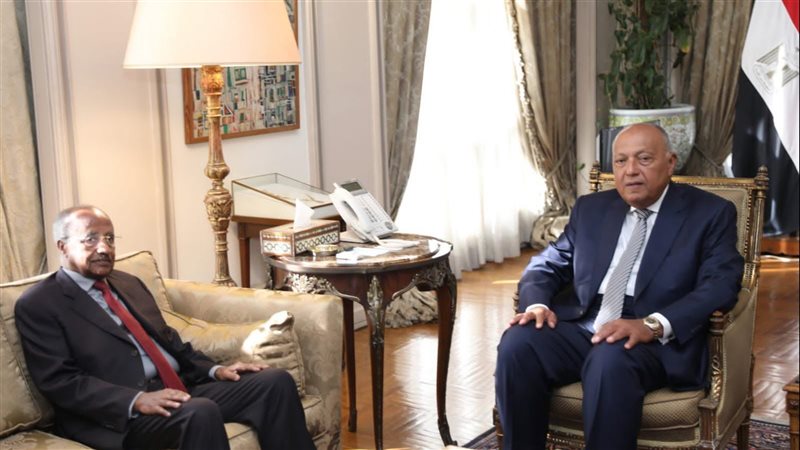 سامح شكرى وزير الخارجية،