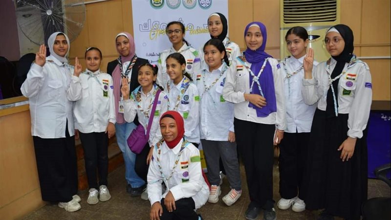 إنتخابات إلكترونية