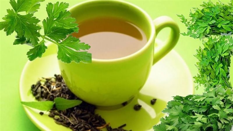 فوائد الكزبرة الخضراء،
