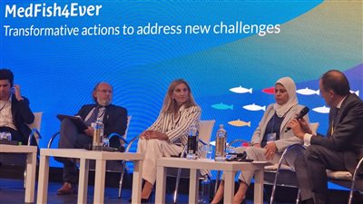 مصر تعرض تجربتها في حماية الصيادين أمام مؤتمر هيئة مصايد البحر المتوسط