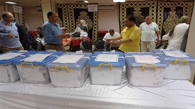 مؤشرات أولية تحسم 5 مقاعد من نقباء المحافظات، تعرف على الأسماء 