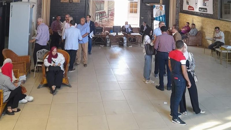انتخابات نقابة الأطباء،
