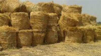 الزراعة: منظومة تدوير قش الأرز نجحت في جمع 1.7 مليون طن.. توفير 2814 طن أسمدة عضوية و310 أطنان أعلاف غير تقليدية