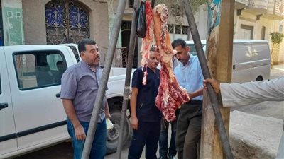 تحرير 50 محضرا تموينيا خلال حملات رقابية بمركزي مطاي وديرمواس بالمنيا