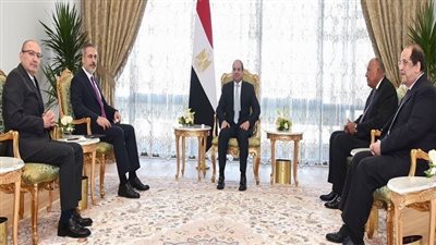 التصعيد العسكري المتسارع في قطاع غزة يتصدر مباحثات السيسي ووزير خارجية تركيا