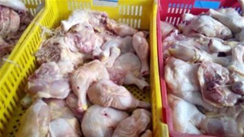 ضبط دواجن فاسدة في