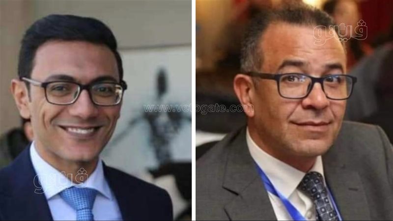 إنتخابات التجديد