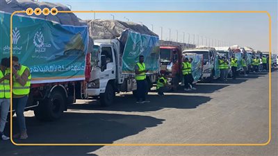 قوافل إغاثة الشعب الفلسطيني تنطلق إلى غزة (إنفوجراف)