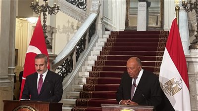 وزيرا خارجية مصر وتركيا يكشفان الحل الوحيد لوقف الصراع الفلسطيني الإسرائيلي