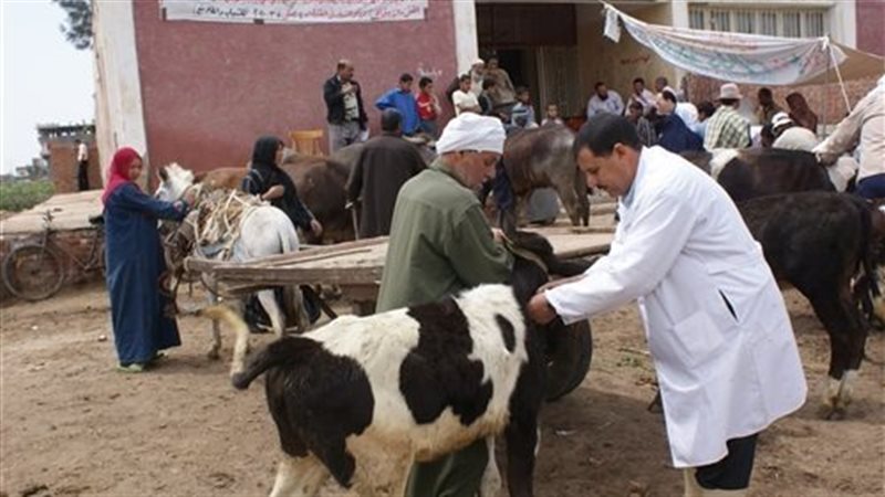 قوافل بيطرية، فيتو