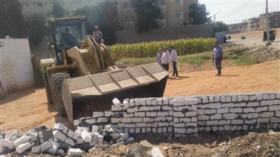 إزالة 13 حالة تعد على الأراضي الزراعية بأسيوط