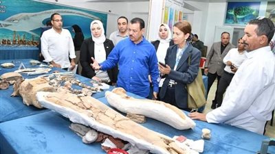 رئيس جامعة الوادي الجديد يبحث أوجه التعاون المشترك ومدير المكتب الإقليمي لليونسكو بالقاهرة 