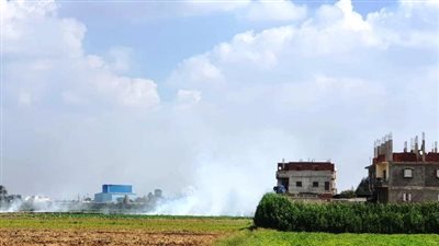 إحالة مدير الإدارة الزراعية بأبوكبير والعاملين معه للتحقيق 