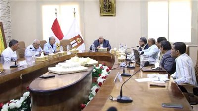 محافظ الوادي الجديد يلتقي وفدا من خبراء