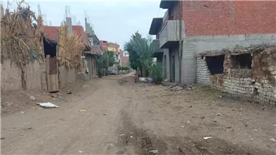 قصة جريمة هزت الشرقية، صبي يقتل زميلته الحافظة لكتاب الله بعد فشله في اغتصابها