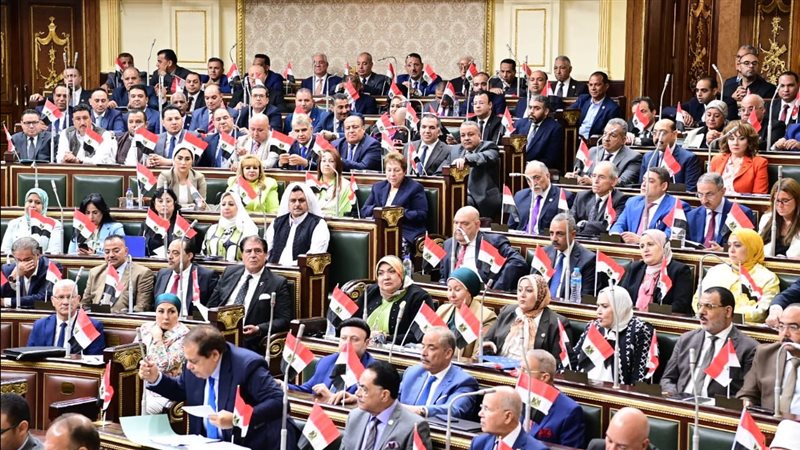 مجلس النواب، فيتو