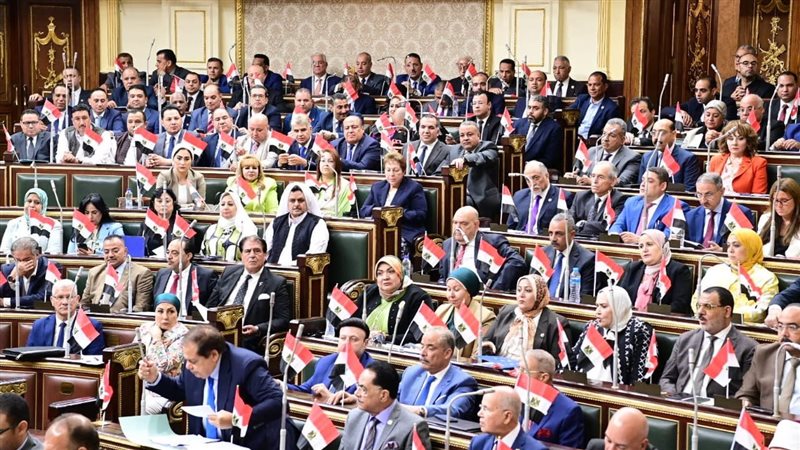 مجلس النواب، فيتو