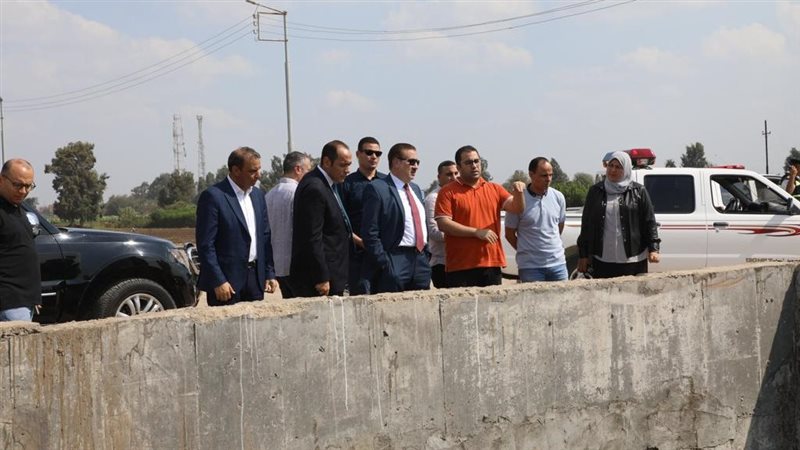 محافظ المنوفية، فيتو