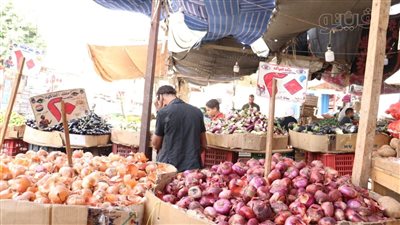 أسعار الخضراوات اليوم، ارتفاع جديد في سعر البصل بسوق العبور