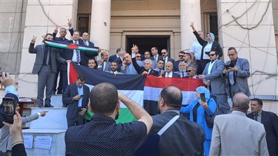 بنرددها جيل ورا جيل تسقط تسقط إسرائيل، هتافات المحامين في الوقفة التضامنية مع فلسطين (فيديو)