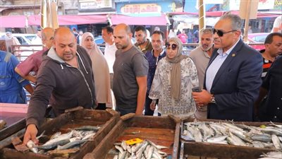 محافظ دمياط: متابعة مستمرة على الأسواق للتأكد من الالتزام بمبادرة تخفيض الأسعار