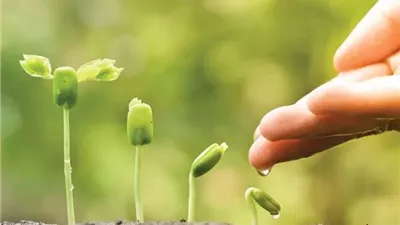 شروط قبول العمل الصالح وثمراته في الدنيا والآخرة 