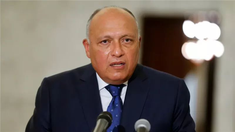 سامح شكري، فيتو 
