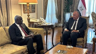 وزير الخارجية يبحث مع رئيس مفوضية الاتحاد الأفريقي قضية سد النهضة 