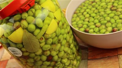 53 مليون دولار صادرات مصر من الزيتون المخلل والمصنع خلال شهرين 