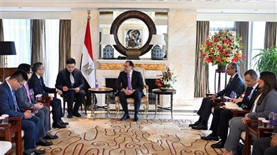 مدبولي يلتقي رئيس مجلس إدارة شركة 