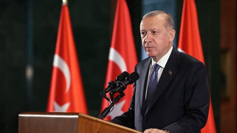 أردوغان، فيتو