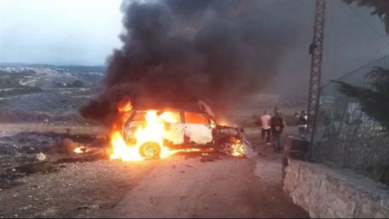 حدود لبنان،فيتو 