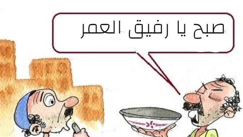 رفيق العمر فى كاريكاتير،