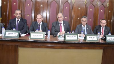  تفاصيل مشروع قانون المجلس القومي للطفولة والأمومة