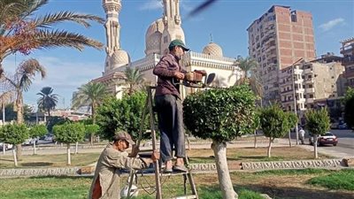 رفع 1205 طن قمامة وأتربة من شوارع وميادين المنصورة (صور)