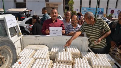 كرتونة البيض بـ115، إقبال كبير على منافذ بيع السلع الزراعية والغذائية بأسعار مخفضة بأسيوط