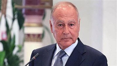 أبو الغيط يبحث خطة تعزيز دور معهد العالم العربي بباريس