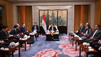 مدبولي يلتقي رئيس شركة 