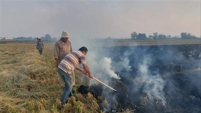 البيئة ترصد حرائق لمخلفات قش الأرز بعدة محافظات، وتكثف حملات التوعية للمزارعين