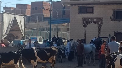 4 قوافل بيطرية مجانية في الغربية